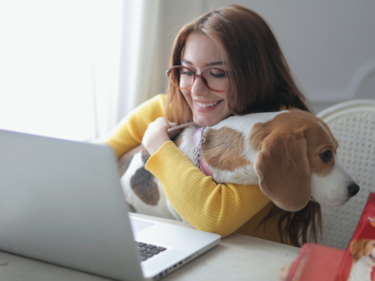 How to Build an Online Pet Products Marketplace